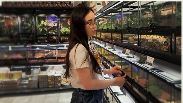 ОГРОМНЫЙ МАГАЗИН ЖИВОТНЫХ В САНКТ-ПЕТЕРБУРГЕ! ХАМЕЛЕОНЫ, АГАМЫ, ЭУБЛЕФАРЫ, ЗМЕИ, ЛЯГУШКИ И ПАУКИ! смотреть онлайн