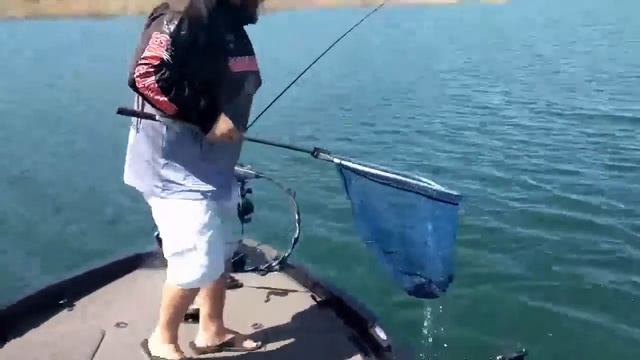 gangster lures deep gulp смотреть онлайн