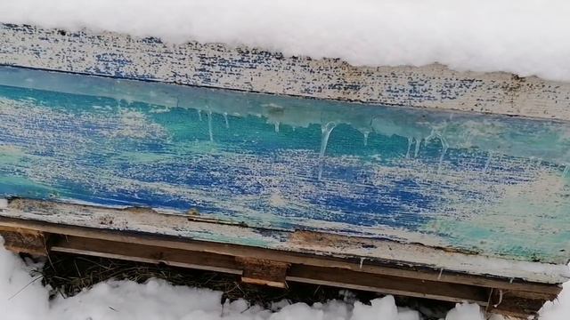 Пасека 2 февраля! Мои секреты пчеловождения! смотреть онлайн