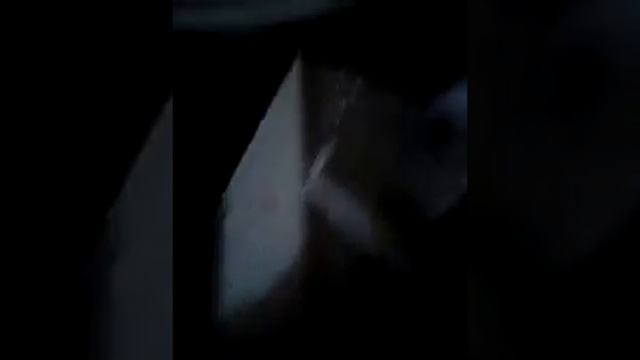 Снимаю влог по даче смотреть онлайн