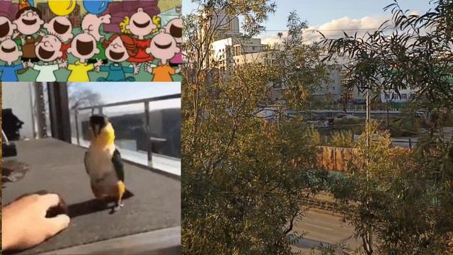 Якутск. Наконец!🙌🏻 смотреть онлайн