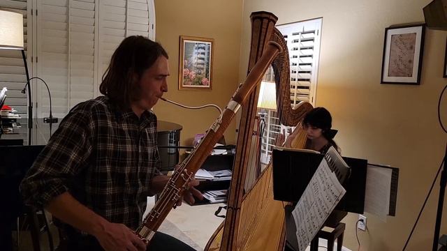 Robert Lehmann, Elegie op.29 Harp and Bassoon смотреть онлайн