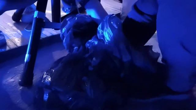 Архив. 1 июня 2021 год смотреть онлайн