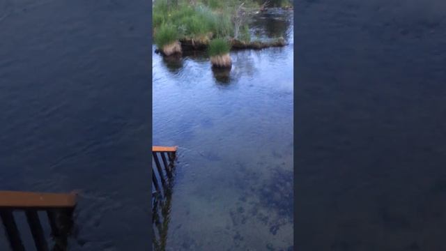 elaxI смотреть онлайн