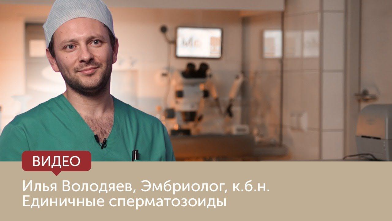Единичные сперматозоиды смотреть онлайн