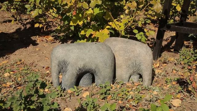 Тизер документального фильма Одесса-город искусств смотреть онлайн