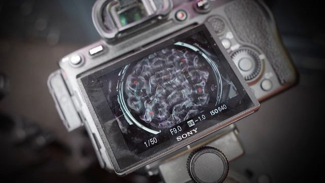 Macro Photography Ideas using Sound and Water! смотреть онлайн