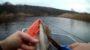 Большая щука TsuYoki Watson 130 sp