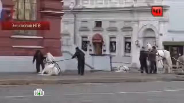 Что случилось с лошадьми на Красной площади смотреть онлайн