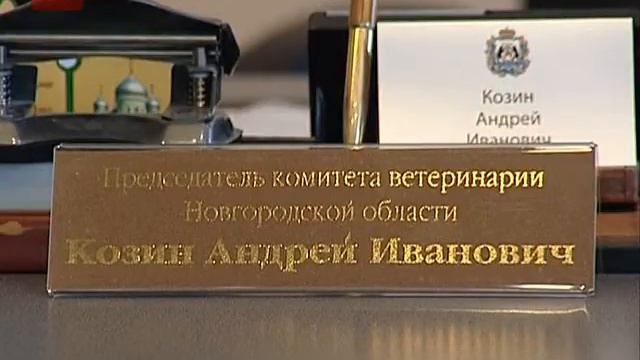 Африканская чума свиней не должна попасть в регион вместе с зараженным мясом смотреть онлайн