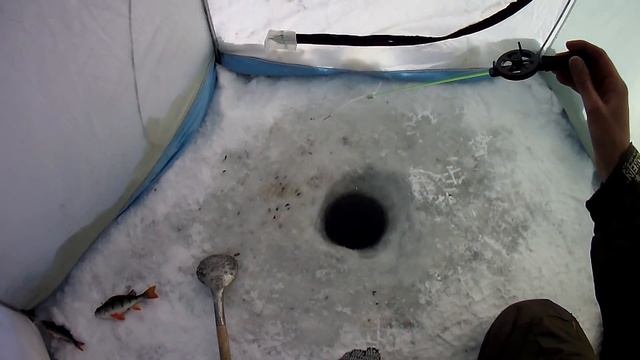 Ловля белой рыбы зимой смотреть онлайн