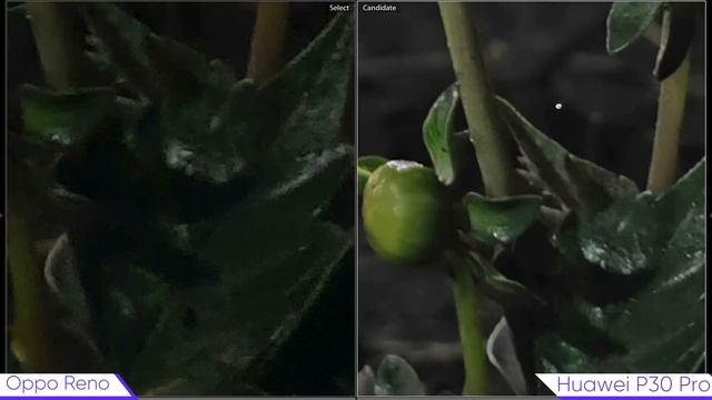 Какой смартфон лучше фотографирует ЛУНУ? Huawei P30 Pro Vs OPPO Reno 10x Zoom Edition смотреть онлайн