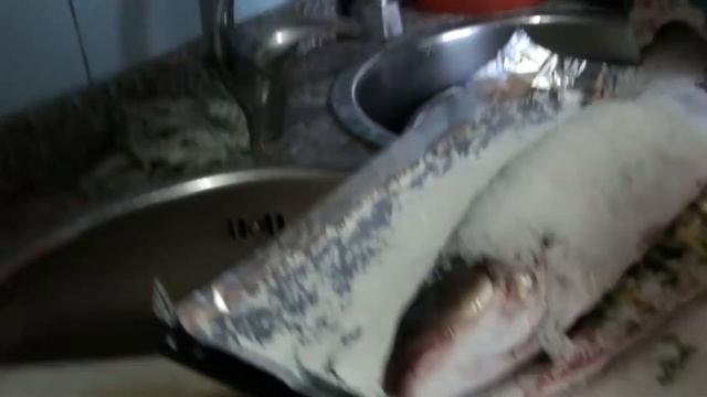 Готовим Spigola (сибас) в духовке! смотреть онлайн