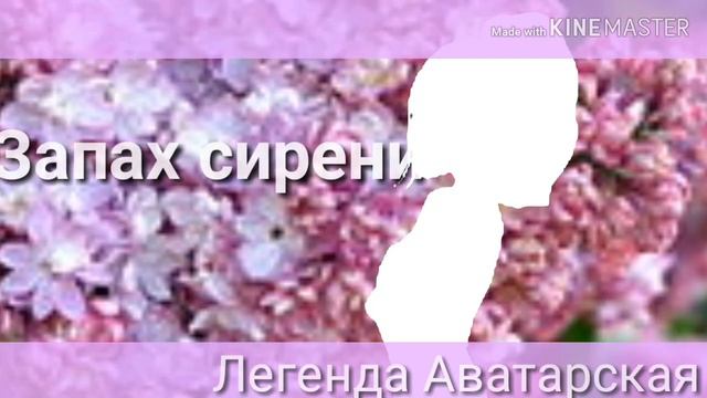 |Meme| •Запах Сирени• [ By: Легенда Аватарская] смотреть онлайн