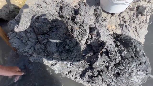 Морские черви