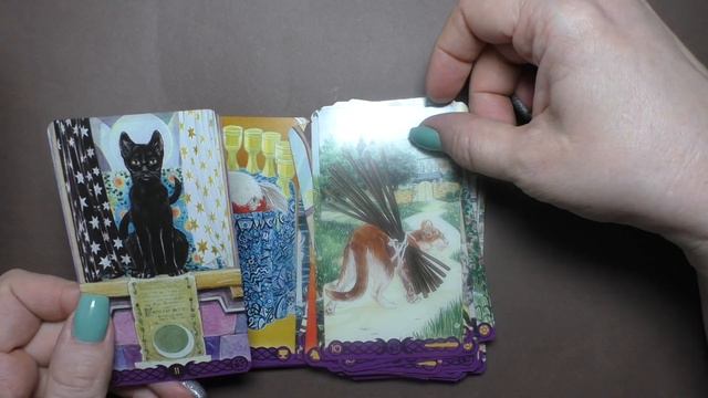 Таро "Языческие кошки" сравнение изданий смотреть онлайн