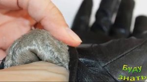 Кожаные перчатки -  КАК ИХ почистить?