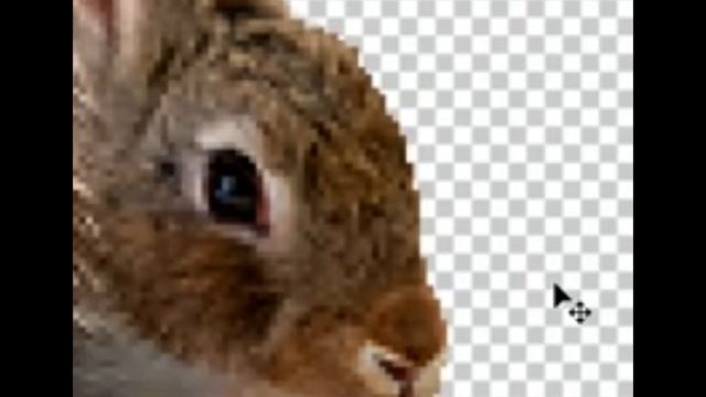 Photoshop Tutorial | Splicing Animals | The Rabbidna смотреть онлайн
