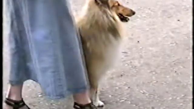 Черноземье 97. г. Воронеж смотреть онлайн