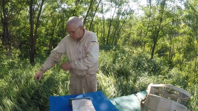 Напад пчел Пчелиное воровство Что делать? смотреть онлайн