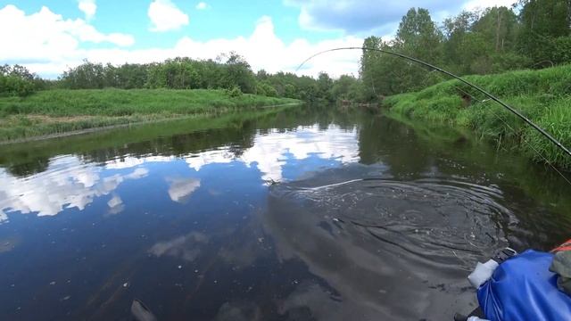 Щука. Кадры поимки щуки в ожидании окончания запрета. смотреть онлайн