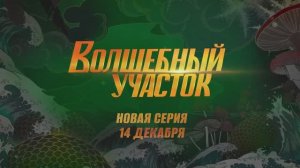 Волшебный участок 6 серия. Жар-Птица (2023)