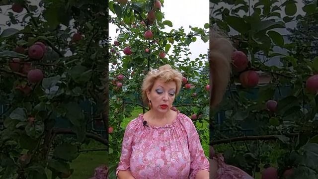 Мак выращивать можно? Часть 1. смотреть онлайн