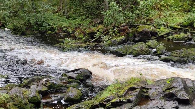 Эко-парк "Долина водопадов". Карелия 2021. смотреть онлайн