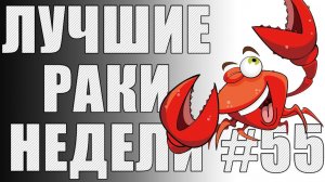 ЛРН выпуск №55. ПРОЗРАЧНЫЙ ТАНК и ЖЕНСКАЯ ЛОГИКА [Лучшие Раки Недели]