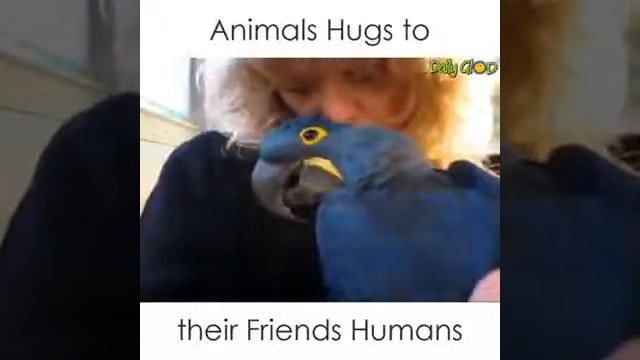 НАШИ ЛЮБИМЫЕ ЖИВОТНЫЕ смотреть онлайн