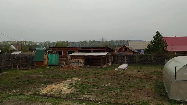 Вылазка за бытовыми ПОКУПКАМИ // Рассада ПРЁТ во всю // Убираем участок смотреть онлайн