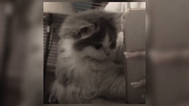 instasamka - отключаю телефон (speed up) смотреть онлайн