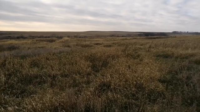 По выбитым. Пролетели как фанера над Парижем. смотреть онлайн