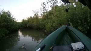 Щука на лягушку-незацепляйку AIKO FROG. Щуки атакуют лягушку!