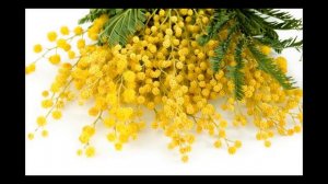 Весенняя Песенка Кап Кап Кап