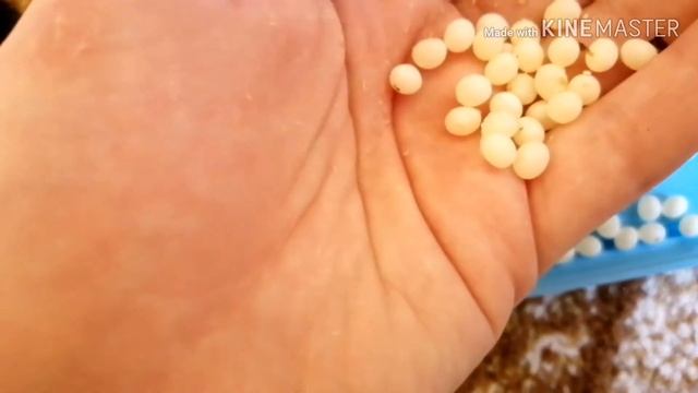 Кладка/улитки/долгожданное видео?