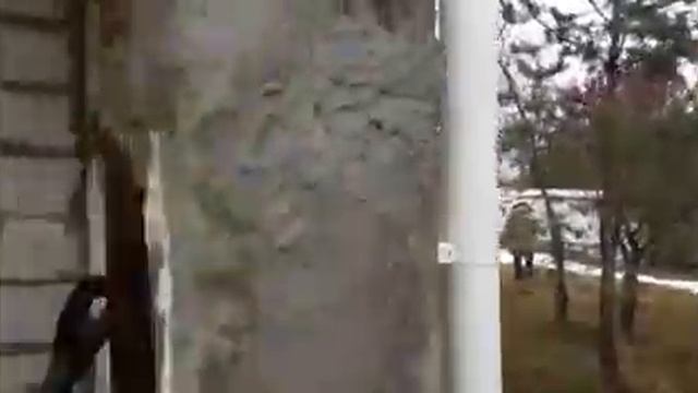 Осенняя пересадка жимолости ??? Добро пожаловать в наш дом!? смотреть онлайн