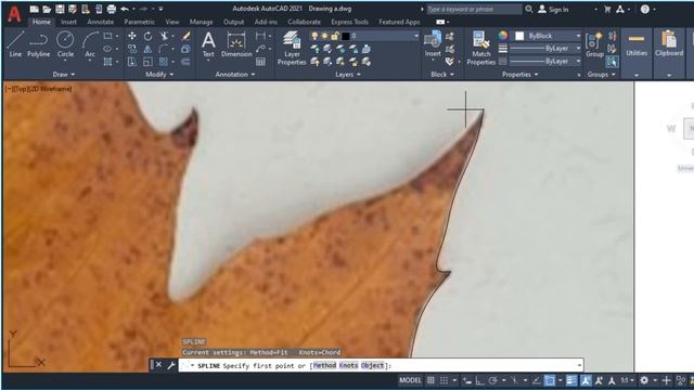 Convert tree leave photo to autocad drawing смотреть онлайн
