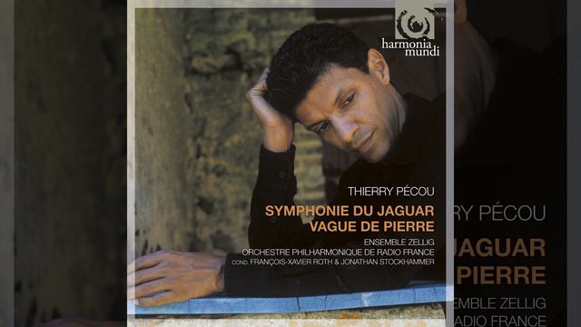Symphonie du Jaguar: IV. Soleil nocturne смотреть онлайн