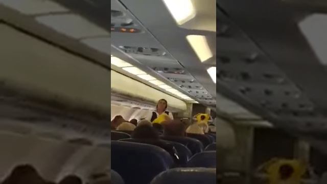 Windrose airlines смотреть онлайн