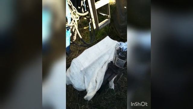 Ремонт ЮМЗ. Замена прокладки под головкой блока целиндров. смотреть онлайн