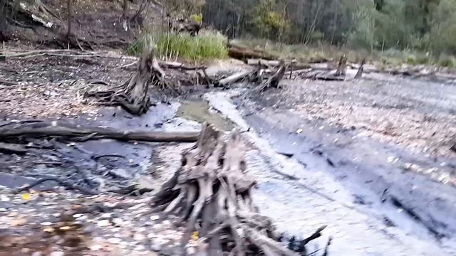 Покатушки на водохранилище осенью. На питбайках через реку. Чуть не утонули. Упал на мотоцикле. смотреть онлайн