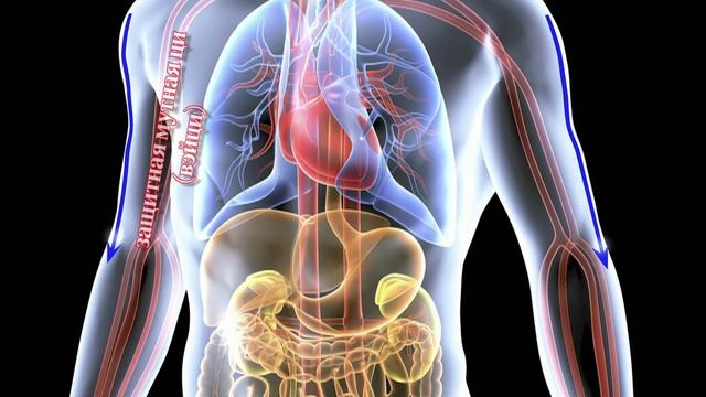 Что такое цигун[Age0+] смотреть онлайн