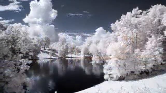 Стихи о жизни | Стихотворение "Белые мотыльки" смотреть онлайн