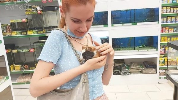 НОВЫЙ ПИТОМЕЦ SvinkiShow Покупка Морской Свинки