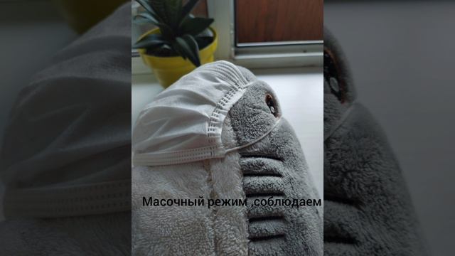 коронавирус