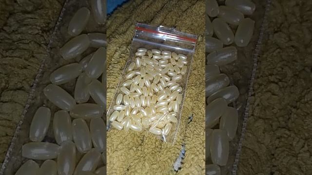 новая леска,бисер,бусины смотреть онлайн