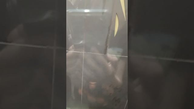 стеклянный лифт из Санкт-Петербурга