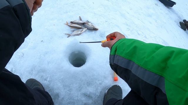 В ЭТОЙ ЛУНКИ СТОЛЬКО РЫБЫ!!! Подводная съёмка!!! По ТАЙГЕ на СНЕГОХОДЕ!!! смотреть онлайн