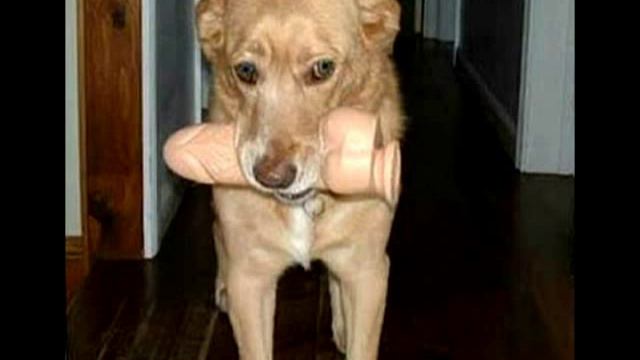 Duran Duran Duran - Live At The Clinic 10-02-2004